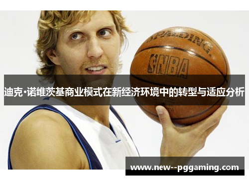 迪克·诺维茨基商业模式在新经济环境中的转型与适应分析 迪克·诺维茨基商业模式在新经济环境中的转型与适应分析