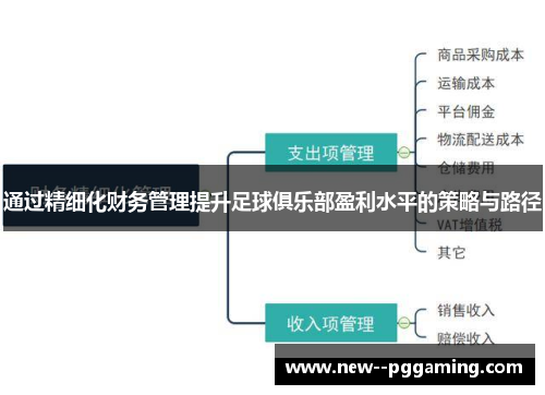 通过精细化财务管理提升足球俱乐部盈利水平的策略与路径 通过精细化财务管理提升足球俱乐部盈利水平的策略与路径