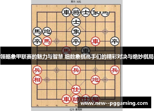 领略象甲联赛的魅力与智慧 细数象棋高手们的精彩对决与绝妙棋局