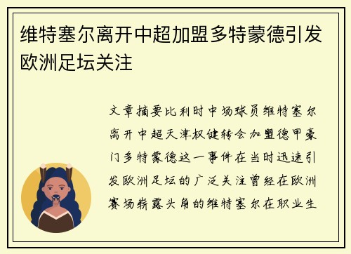 维特塞尔离开中超加盟多特蒙德引发欧洲足坛关注 维特塞尔离开中超加盟多特蒙德引发欧洲足坛关注