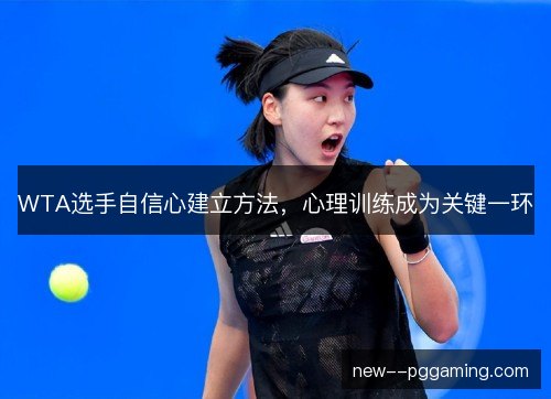 WTA选手自信心建立方法,心理训练成为关键一环 WTA选手自信心建立方法,心理训练成为关键一环